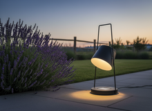 Lade das Bild in den Galerie-Viewer, LUMIDA Garden Solar-Spotlight für Garten – schwenkbar, RGB & Warmweiß