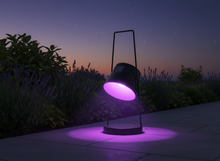 Lade das Bild in den Galerie-Viewer, LUMIDA Garden Solar-Spotlight für Garten – schwenkbar, RGB & Warmweiß