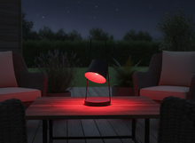 Lade das Bild in den Galerie-Viewer, LUMIDA Garden Solar-Spotlight für Garten – schwenkbar, RGB & Warmweiß
