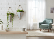 Lade das Bild in den Galerie-Viewer, Pure Living 2er Set Wandvase Pflanzen Deko Wandpflanzen Halter modern – für Zimmerpflanzen, Sukkulenten, Trockenblumen & Kräuter