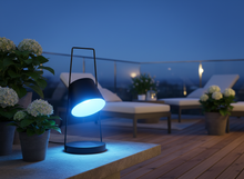 Lade das Bild in den Galerie-Viewer, LUMIDA Garden Solar-Spotlight für Garten – schwenkbar, RGB & Warmweiß