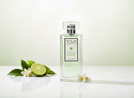 🌞 Sommer Parfüm Damen – Duft Eau de Parfum 100 ml – Frischer Zitrus Duft, Blumig-Holzig, Sinnlich & Elegant – Limitierte Sommer Edition TOVA Signature Summer Eau de Parfum